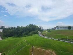 Blk 533 Bukit Batok Street 51 (Bukit Batok), HDB Executive #517573991